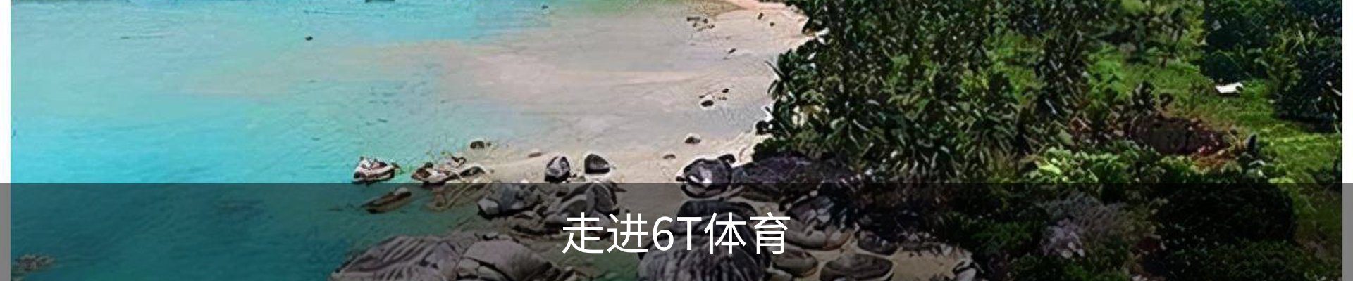 走进6T体育